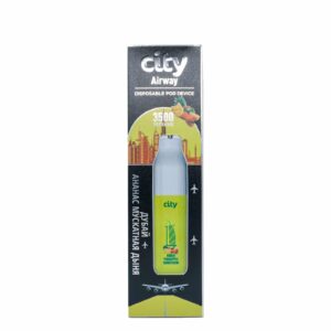 City Airway (ананас/мускатная дыня) M