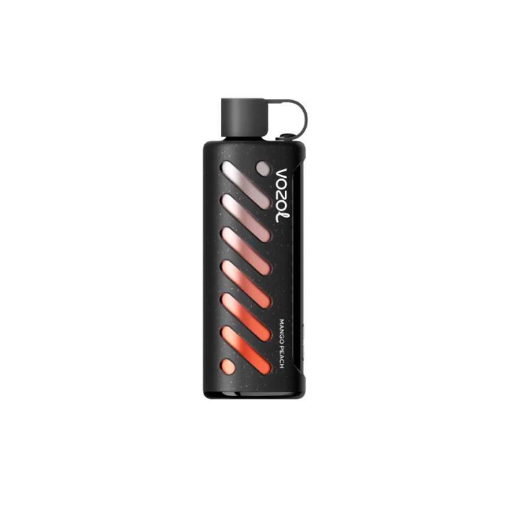 Vozol Gear Shisha 25000 (манго/персик) M
