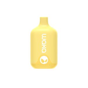 Waka Smash 6000 (манго/дыня/алоэ) M