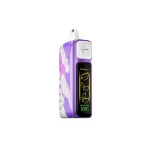 Elf bar Nic King 30000 (черника/роза/мята) M