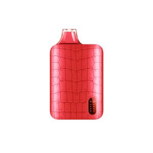 Puffmi Dura 9000 (watermelon ice) M